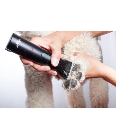 Wahl Arco Cordless Clipper - Buy Online on GoSupps.com