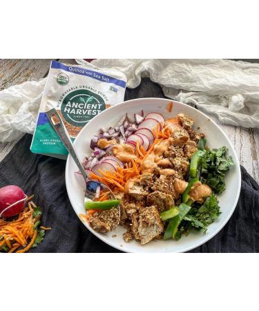 Organic Microwavable Sea Salt Quinoa - Vegan Plant Based Protein, Gluten-Free, Non-GMO Ingredients - Family Size 16oz (Pack of 6) - Buy Online on GoSupps.com