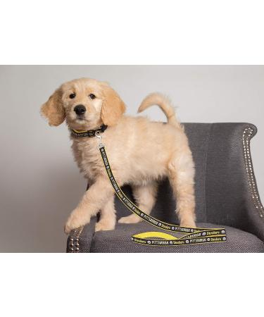 Pets First NFL Pet Leash - Officially Licensed Football Team Leash - Buy Online on GoSupps.com