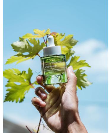 KORRES Santorini Grape Velvet Skin Drink 1 fl. oz. - Buy Online on GoSupps.com