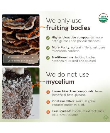 Organic Super Six Powder Mushroom Blend Supplement 100g | Fruiting Body Extract Complex | Lions Mane Turkey Tail Cordyceps Reishi Chaga & Tremella | 35% Beta-D Glucans | Overall Wellness Support 6 Blend - Buy Online on GoSupps.com