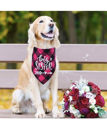 STMK Big Sister Plaid Dog Bandana | Pregnancy Announcement & Gender Reveal Photo Prop | Pet Scarf Accessories in Pink - Buy Online on GoSupps.com