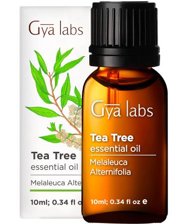 Gya Labs Pure Australian Tea Tree Oil for Skin, Hair, Face & Toenails (0.34 fl oz) - 100% Therapeutic Natural Melaleuca Tea Tree Essential Oil for Piercings, Scalp & Hair Growth Tea Tree 0.34 Fl Oz (Pack of 1)