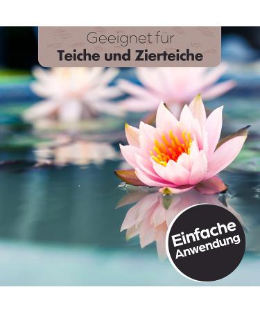 Gretchen Organic Pond Cleaner 200g - Eco-Friendly Vegan Powder for Clear Water & Safe Fish Care - Buy Online on GoSupps.com