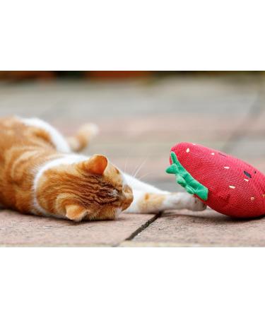 Petface Strawberry Plush Cat Toy - Soft & Engaging Toy for Cats | Ideal for Interactive Play | Shop Internationally - Buy Online on GoSupps.com