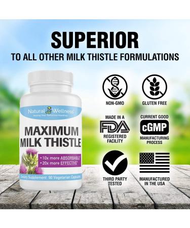Maximum Milk Thistle 240mg - 90 Caps - Liver Detox Support with Silybin Phytosome - Natural Wellness - Buy Online on GoSupps.com