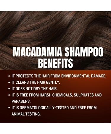 Stalwart 165862-itp Macadamia Shampoo 400 ml - Buy Online on GoSupps.com