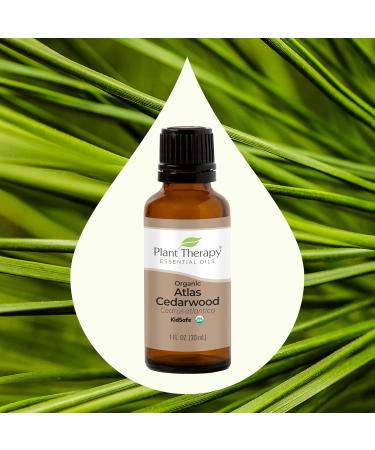 Plant Therapy Organic Atlas Cedarwood Essential Oil - 100% Pure USDA Certified Undiluted Aromatherapy 30 mL - Buy Online on GoSupps.com