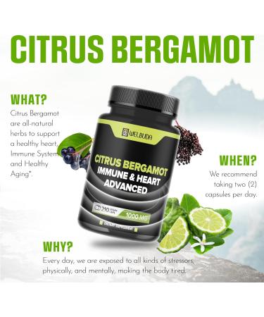 Citrus Bergamot with Olive Leaf Hawthorn Berry & More - Combined Formula for Circulatory Health Protective Function Skin Health - 210 Capsules - 105 Day 210 Count (Pack of 1) - Buy Online on GoSupps.com
