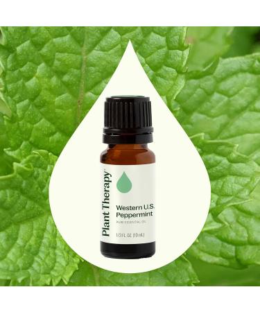 Plant Therapy Peppermint Western U.S. Essential Oil 10 mL (1/3 oz) 100% Pure Undiluted Aromatherapy Attention Focus and Cooling Relief 0.33 Fl Oz (Pack of 1) - Buy Online on GoSupps.com