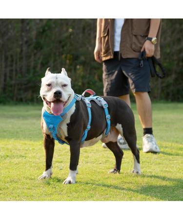 Huntboo Panic Dishes & Heef Large Dog Harness - Waterproof Breathable Adjustable Vest for Large Dogs (Blue L) - Durable Design - Buy Online on GoSupps.com