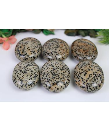 Buy Large Dalmatian Jasper Palm Stones - High-Quality Crystal Gemstones for Healing & Decor - Buy Online on GoSupps.com