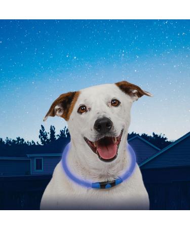 NiteHowl LED Safety Chain - Universal Blue with Replaceable Batteries | Enhance Nighttime Safety Worldwide - Buy Online on GoSupps.com