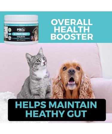 Pet Chef Nutrition Probiotic Powder for Dogs | 30 Billion CFUs, 6 Probiotics, MSM, Chondroitin & Glucosamine | Joint, Gut, Digestive Health - 212 Servings - Buy Online on GoSupps.com