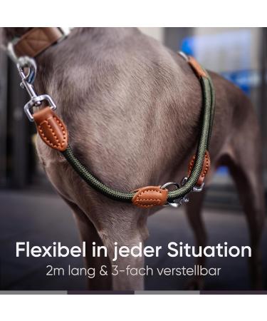 Freudenier Dog Leash for Large Dogs - 2m 3-Fold Durable Nylon with Stylish Brown Leather | Forest Green - Buy Online on GoSupps.com