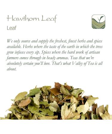 Hawthorn Leaf Organic Flower Tea - High Food Grade 100g (Pack of 1) - Hawthorne Leaves and Flowers - Buy Online on GoSupps.com