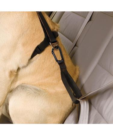 Kurgo Seatbelt Tether - Dog Safety Tether with Carabiner | Easy Installation | Universal Fit | Black/Grey - Buy Online on GoSupps.com