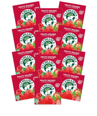 Elephant Infusion Aromatis e Go t Fruits Rouges & Touche de Menthe Certifi Rainforest Alliance Ingr dients d'Origine 100% Naturelle 240 Sachets Pyramid