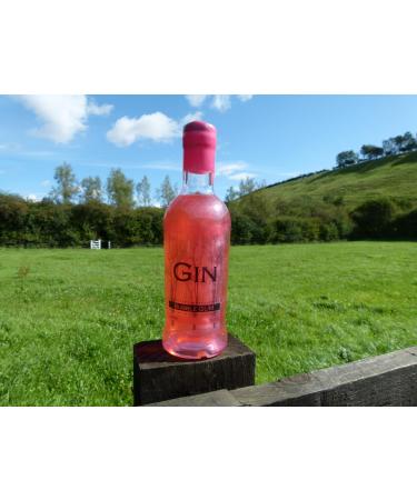 Bubble Gum Gin 40% Flavoured Gin for Shots Cocktails Mocktails & Drink Mixes - Infused with Bubble Gum flavouring and Distilled Dry Gin - Raisthorpe Manor 500ml 40% Alcohol Volume