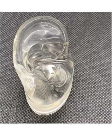 Soft Silicone Ear Model for Acupuncture & Science Studies | Anatomical Left Ear Simulation - Buy Online on GoSupps.com