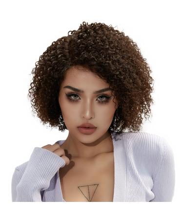 Short Curly Human Hair Lace Front Wigs for Black Women 13x5 HD Lace Side Part Wigs Pre Plucked Brazilian Virgin Human Hair Wigs with Baby Hair Short Bob Wigs 150% Density Ombre Highlight Brown (12 inch) Ombre Highlight B... - Buy Online on GoSupps.com