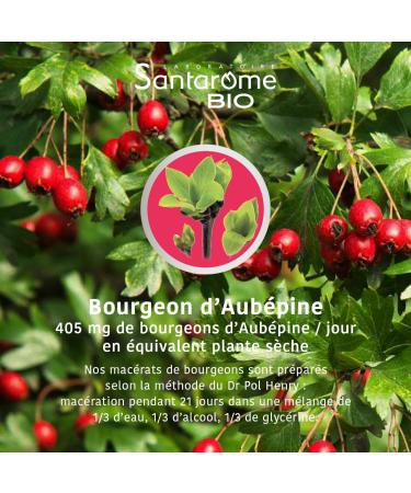 Santarome Bio - Organic Hawthorn - Bud macerate - Organic Hawthorn Bud - Fresh Bud - Gemmotherapy - Supplement a - Buy Online on GoSupps.com