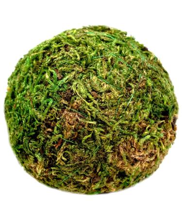 SuperMoss (25440) Moss Ball, Fresh Green, 2" Pack of 4 Fresh Green 2"