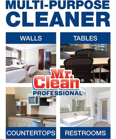 Mr. Clean Professional Finished Floor Cleaner for Commercial Use 3.78 L (Case of 3) Professional Floor Cleaner - Buy Online on GoSupps.com