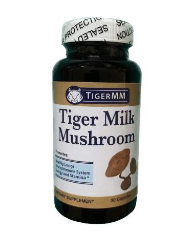 Tiger Milk Mushroom (Lignosus rhino.) USA  Lung Respiratory Support  Immune Booster