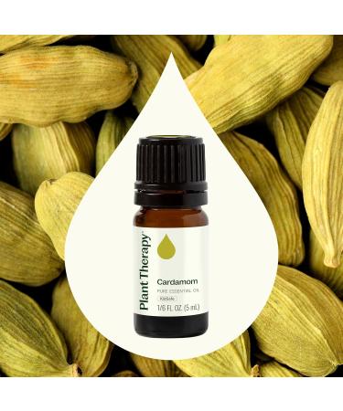 Plant Therapy Cardamom Essential Oil 5 mL (1/6 oz) 100% Pure Undiluted Aromatherapy Warm Cozy Scent Digestive Support 0.16 Fl Oz (Pack of 1) - Buy Online on GoSupps.com