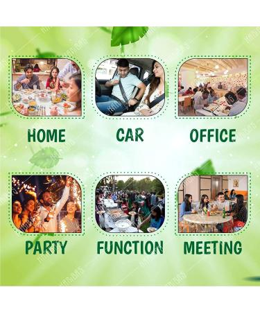 HARIBAS Green Mukhwas 200gm x 2 | Peppermint Coated Saunf Mouth Freshner (Mukhwas /Fennel Mouth After Meal and Drink Mukhwas Mouth Freshener)_Packing May Vary - Buy Online on GoSupps.com