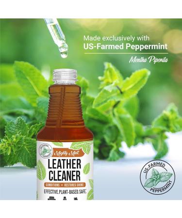 Mighty Mint Leather Cleaner & Conditioner - Plant-Based Hydrating Spray for Leather Protection - 16oz Natural Peppermint Scent - Buy Online on GoSupps.com