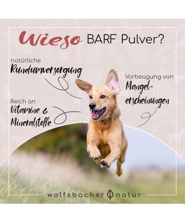 Barf Complete Supplementary Powder for Dogs 100% Natural 5 Organic Ingredients for Health & Vitality 500g | International Shipping Available - Buy Online on GoSupps.com