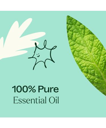 Buy Plant Therapy Tension Relief Essential Oil Blend 30 mL - 100% Pure Therapeutic Grade for Stress Relief | International Shipping Available - Buy Online on GoSupps.com