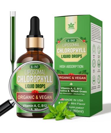 Organic Chlorophyll Liquid Drops Liposomal for Women & Men 6-in-1 Greens Superfood Vegan Chlorophyll w/Spirulina Wheat Grass Vitamin C B12 A for Internal Deodorant* Energy Digestive 1Packs/2 Fl Oz 2 Fl Oz (Pack of 1)