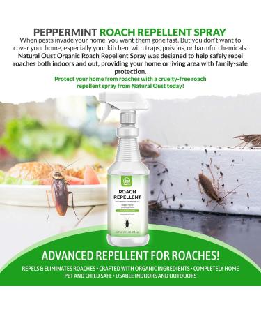 NATURAL OUST Peppermint Oil Roach Repellent Spray - Eco Friendly Indoor/Outdoor Control - Buy Online on GoSupps.com