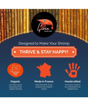 Gioia Shrimp - Gioia Shrimp - Pack of 12 Catappa lollies - Buy Online on GoSupps.com