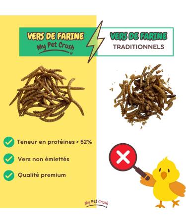 MPC - Dried Mealworms: A High Quality Protein Source for Wild Birds and Reptiles - Food Supplement - Buy Online on GoSupps.com