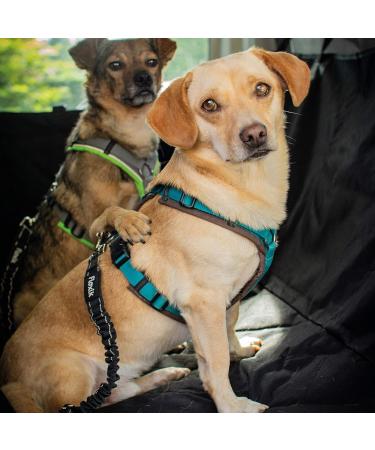 FLOXIC SCHTHURT Dog Car Seat Belt - Adjustable Elastic Safety Harness for Small & Large Dogs - Secure Travel Accessories - Buy Online on GoSupps.com