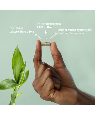 Buy Bamboo Silicon Capsules - 120 Count | Strengthen Skin Hair & Nails with 105mg Silica per Dose | International Shipping Available - Buy Online on GoSupps.com