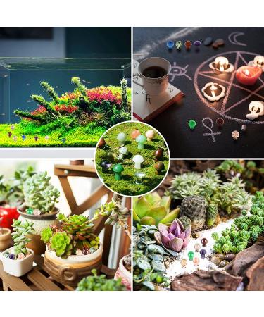 20 Pcs Crystal Mushroom Sculpture Bulk Stones for Decor, Meditation, Healing - Quartz Crafts for Garden, Lawn, Flower Pot, Fish Tank - A-green Cover - Buy Online on GoSupps.com
