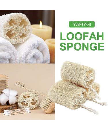 3PCS Natural Loofah Sponge Exfoliating Body Scrubber Set - Sustainable, Eco-Friendly, Egyptian Bath Get Clean - Ideal for Face & Back - Buy Online on GoSupps.com