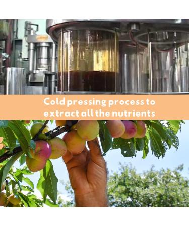Oiuml leacute na BIO 100 pure and natural coldpressed apricot oil moisturizing aftersun oil conditioner for hair nails and cuticles sensitive skin care 1000 ml 1 L - Buy Online on GoSupps.com