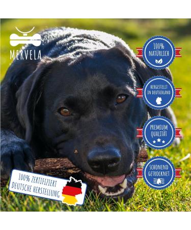 Mervela D rrfleisch for Dogs - 100% Beef Healthy Dog Snack | German Dry Meat Treat 500g - Buy Online on GoSupps.com
