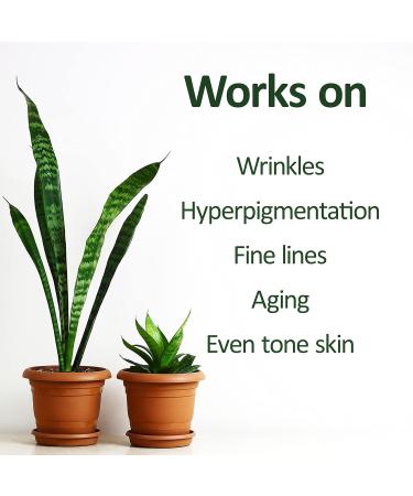 Deve Herbes Plant Based Retinol Face Serum & Vitamin E Oil | Natural Anti-Aging Skincare for Radiant Skin 30ml - Buy Online on GoSupps.com