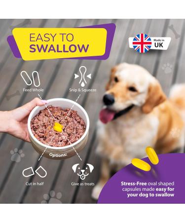 Fish Oil Omega Supplements for Dogs and Cats - 120 Softgels for Pets - Great for Itchy Dry Skin Allergies & Dandruff Furever Friendz - Buy Online on GoSupps.com