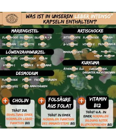 Buy Liver Intensive+ High-Dose Liver Capsules | 80% Silymarin & 5% Cynarin | International Shipping - Buy Online on GoSupps.com