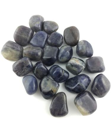 Healing Crystals India Real Crystals and Healing Stones - Healing Crystals for Beginners- Healing Stones Tumbled Crystals for Witchcraft (10 Iolite) 10 Iolite
