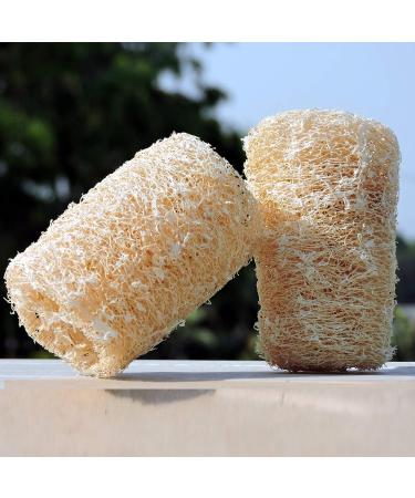Organic Loofa Bath Sponge Set - 2 Exfoliating Scrubbers | Naturally Grown Loofah - HealthGoodsIn - Buy Online on GoSupps.com