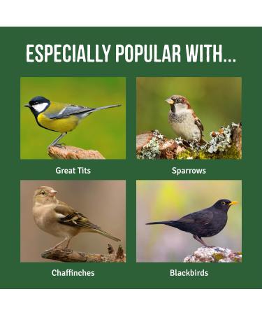 Honeyfields 5Kg Wild Bird Food - High Quality Blend for All Seasons - Buy Online on GoSupps.com
